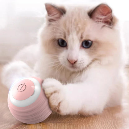 Interactive Cat Toy Ball 360° Automatic Rotating Rolling Ball