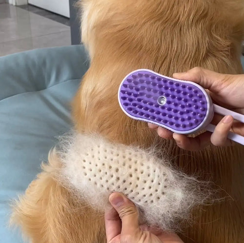 New Pet Spray Comb for Cats and Dogs Pet Electric Spray Hair Removal